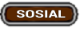 SOSIAL